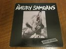 Angry Samoans Inside My Brain LP 1983
