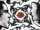 Red Hot Chili Peppers * Blood Sugar Sex Magik