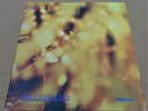 Steamhammer: Reflection CBS 63611 Vinyl LP Gatefold Blues Rock 1969