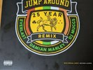 Everlast, Damian Marley, DJ Muggs - Jump Around (25 Year Remix) Rasta Flag Vinyl