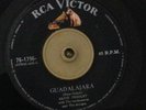 Elvis Presley/GUADALAJARA/fun in Acapulco/RARE SINGLE RCA MEXICO ROCK VG+