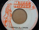 THE MESSIAS CONFUSSION IN A BABYLON / STAMPEDE JAMAICAN MOSES 7