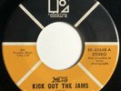 * MC5 Kick Out The Jams/Motor City Is Burning RAW GARAGE PUNK Elektra 45 HEAR