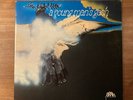 Vinyl LP - A Young Man's Gash / 1972 Brain 1014 PRESS - Cover EX, Vinyl NM