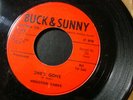 HOUSTON BARKS A STRANGER PROMO 45 RECORD SHE'S GONE