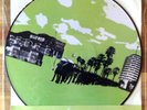Fear Before the March of Flames - Art Damage Vinyl LP Picture Disc Original