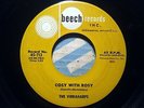 The Vibraharps - Cosy With Rosy / Walk Beside Me - Beech 713 ?