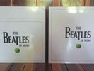 The beatles mono vinyl box set