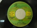 Jimmie Dale & The Flatlanders promo 45 Dallas  Joe Ely gilmore