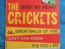 The Crickets (Buddy Holly) 