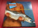 J4-65 DOWNCHILD BLUES BAND Gone Fishing ... 1989