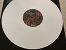Andrew Jackson Jihad signed LP AJJ Against Me Days N Daze