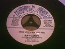 RAY CAMPI ' HOW LOW CAN YOU FEEL'  ROCKABILLY ROLLIN ROCK CLASSIC NR MINT