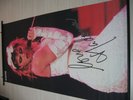 MADONNA  PROMO Big Size Tapestry Japan Mitsubishi