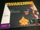 Lord Finesse - The Awakening - Vinyl Me Please VMP Clear with Black and Gold