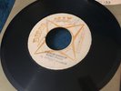Ernest Wilson Roots Reggae I Know Myself 45