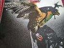 BUDGIE - In For The Kill  1974 LP MCA Records MCA 429  album, vg+. Import.