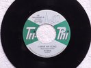 northern soul THE CHALLENGERS III Every Day / I Hear An Echo TRI PHI 1020 M-
