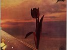 THE PRETTY THINGS: Parachute US Rare Earth Orig Psych Rock LP NM- Vinyl