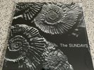 The Sundays-Reading, Writing And Arithmetic Record Store Day Release
