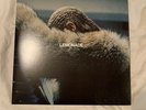 BEYONCE - LEMONADE - double vinyl 2x LP (YELLOW)