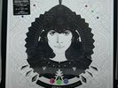 6×LP + LIBRO - RENATO ZERO - ZEROSETTANTA - LIMITED EDITION NUMERATO VINILI.