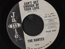 DANTES: can't get enough of your love / 80-96 Jamie 7