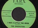 ENSENATORS: i had a little too much / just like before TARX 7