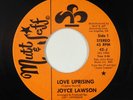 70s Soul 45 - Joyce Lawson - Love Uprising - Mutt & Jeff - VG++ mp3 - promo