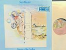electronic/ambient STEVE HACKETT 