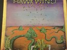 Hawkwind, Hawkwind Liberty Blue Original Ltd To First 500 Liberty Blue, Vinyl Lp