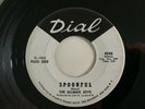 THE ALLMAN JOYS - SPOONFUL - DIAL RECORDS US GARAGE PROMO 45