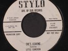 LITTLE CAMERON: kansas city dog STYLO 7