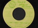 MANDELLS: i can't forget / part 2 Trans World Sound 7