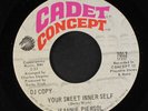 JEANNIE PIERSOL: your sweet inner self / the nest Cadet Concept 7