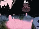 Dedicated to Bobby Jameson Ariel Pink Vinyl