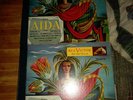 1946 Verdi Aida Opera Rome 12