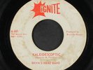 SHIVA'S HEADBAND: kaleidescoptic / song for peace Ignite Records (2) 7