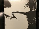 The Twilight Singers, Dynamite Steps , 2 LP’s, White Vinyl, 2011