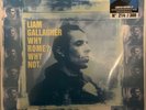 Liam Gallagher Why Rome? Why Not. Man City Sky Blue Vinyl Limited To 300 *RARE*
