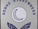 THIRTEENTH FLOOR ELEVATORS: demos everywhere Not On Label 12