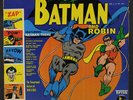 SENSATIONAL GUITARS OF DAN & DALE: batman and robin TIFTON 12