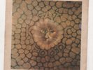 KING CRIMSON - CAT FOOD / GROON. (RARE, UK, 1970, PINK ISLAND, WIP-6080)