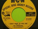 The Charades : I Don't Want To Lose You, Never Set Me Free 7' 45 RPM RARE Promo