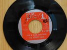 The Boogie Kings 45 This Is Blue Eyed Soul bw Do Em All on Pic 1 latin Soul