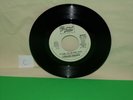 45 RPM Lorraine Johnson The More I Get The More I Want 1977 Soul/Funk Promo
