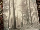 TAYLOR SWIFT: folklore “IN THE TREES” Limited Edition Deluxe Beige Vinyl 2LP