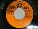 Original Del Vikings 45 on Fee Bee Whispering Bells