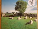The KLF, Chill Out Vinyl. First Pressing Mint Condition.
