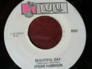 SPIDER HARRISON BEAUTIFUL DAY / Never In My Life LULU 9703